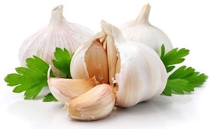 Comprar Forever Garlic Thyme Bolivia